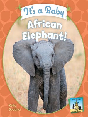 cover image of It's a Baby African Elephant!